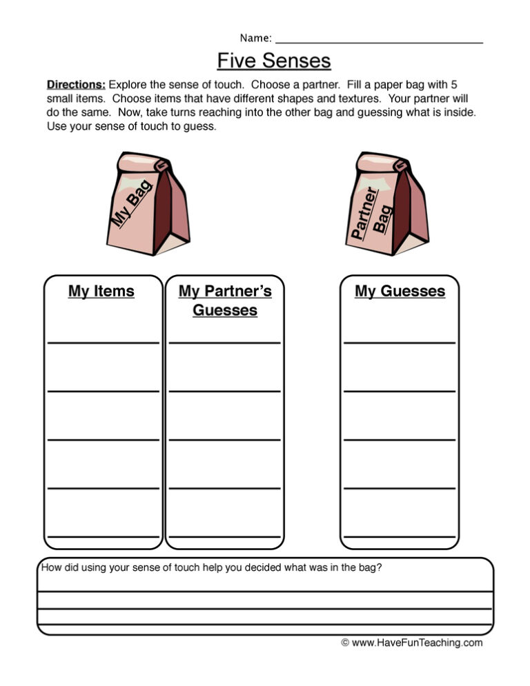 What is in the Bag? Five Senses Worksheet
