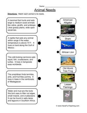Matching Animal Needs Worksheet