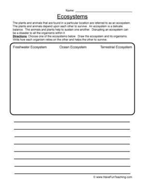 Drawing Ecosystems Worksheet