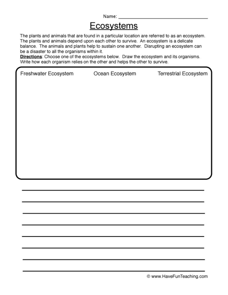 Drawing Ecosystems Worksheet