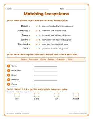 Matching ecosystems worksheet for 4th grade to match ecosystems to descriptions and animals to habitats.
