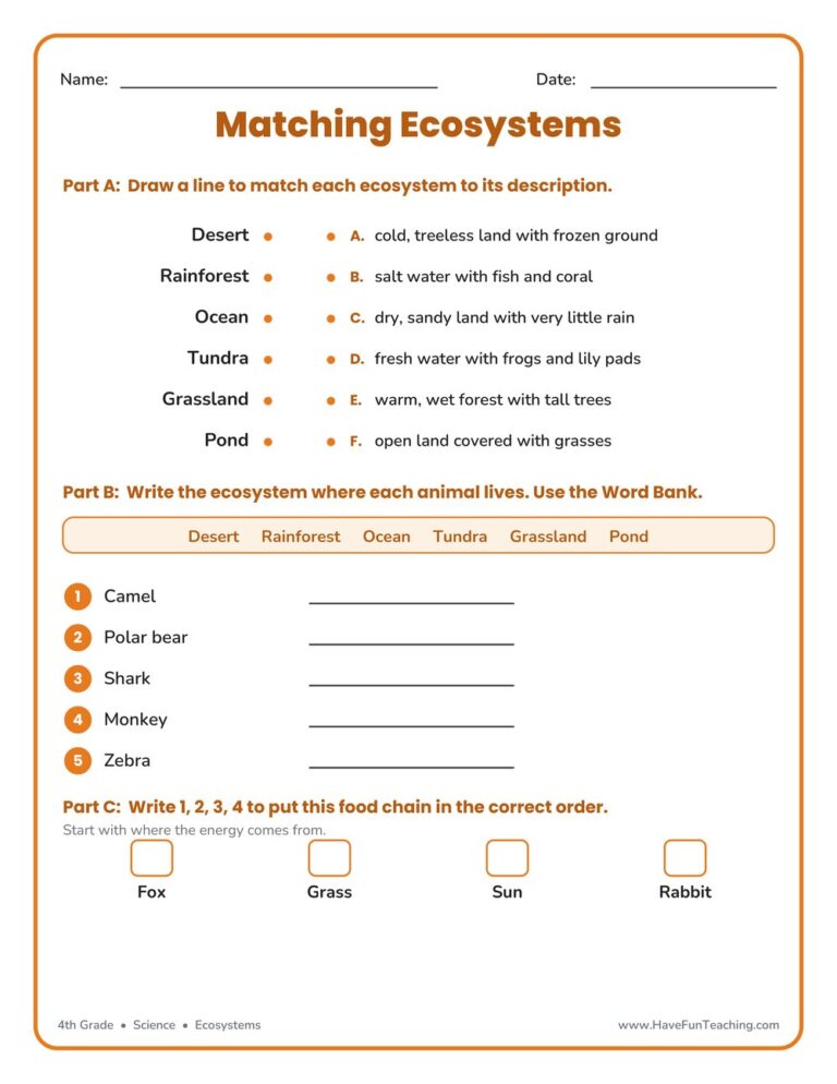 Matching Ecosystems Worksheet