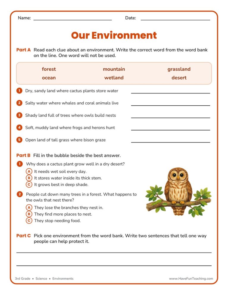 Our Environment Worksheet