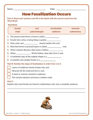 Fourth grade fossils fill in the blank worksheet about how fossilization occurs