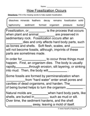 Fossils Fill in the Blank Worksheet