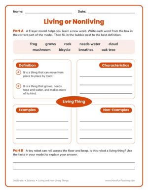 3rd grade living and non-living things Frayer model worksheet