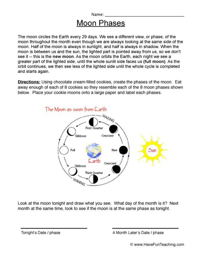 Moon Phases Cookies Worksheet