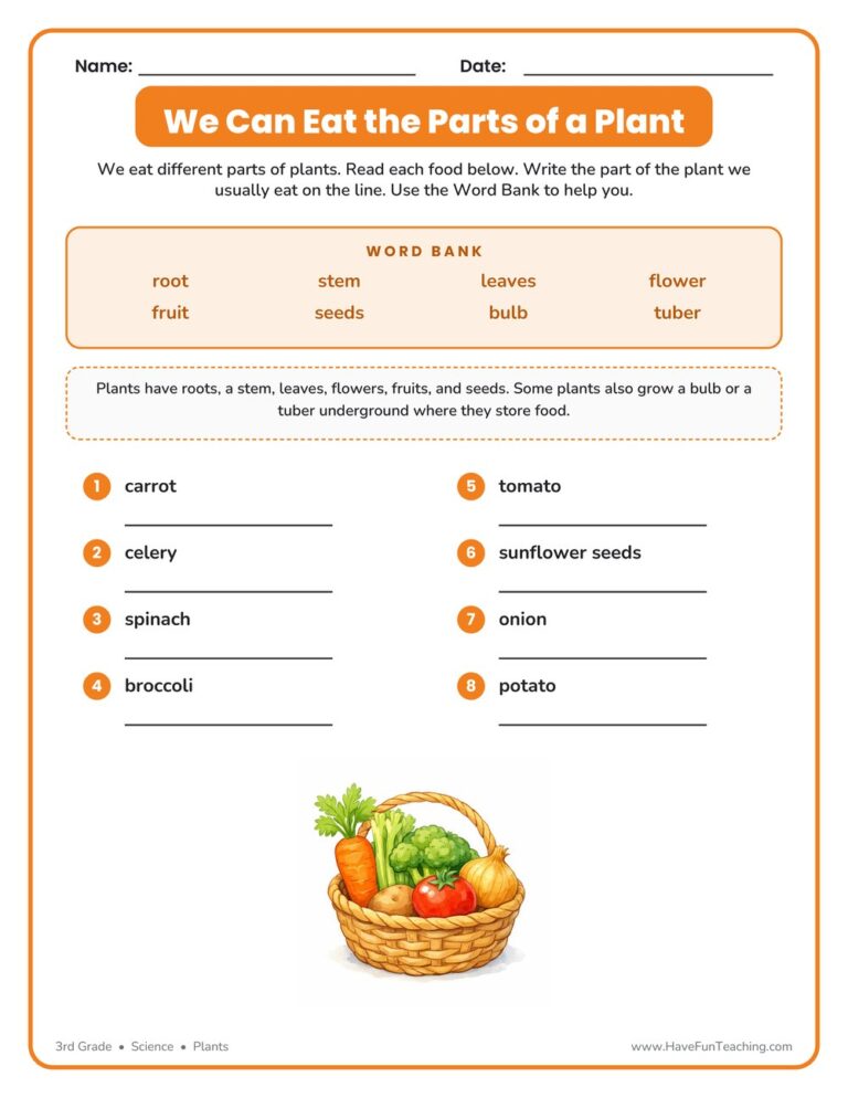 Edible Parts of a Plant Worksheet