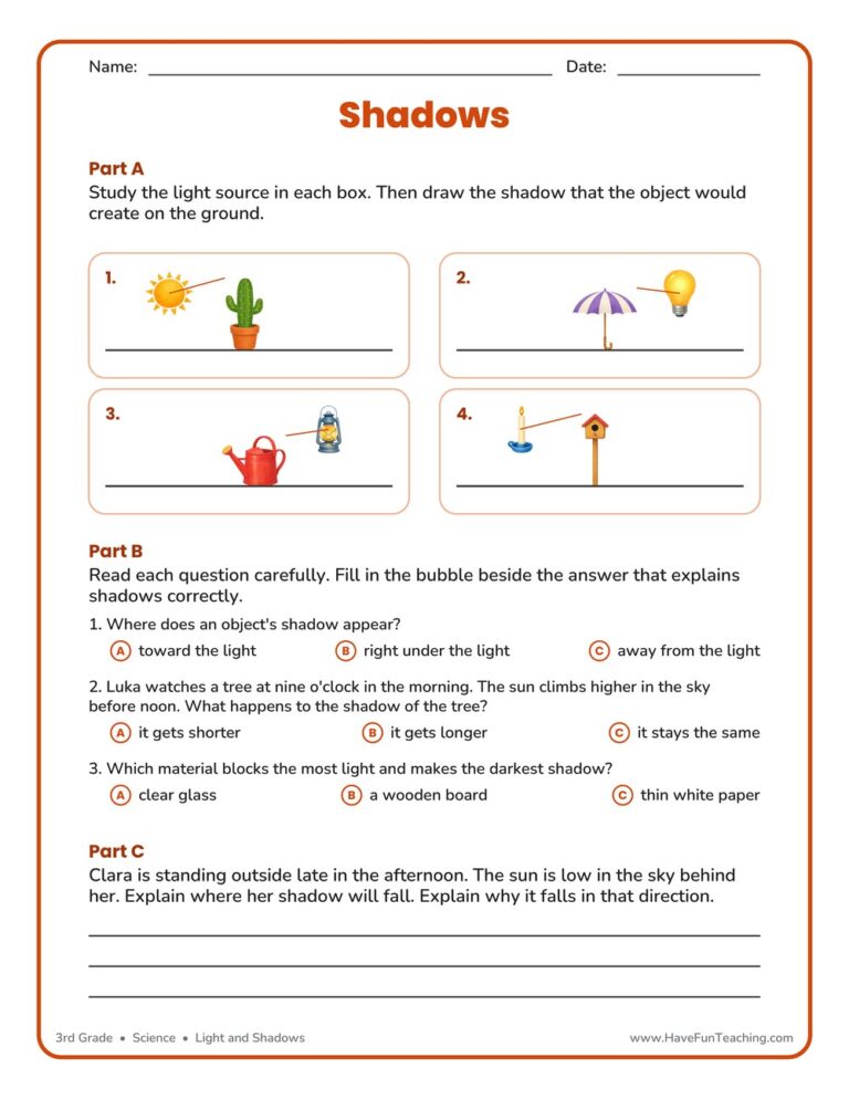 Shadows Drawing Worksheet