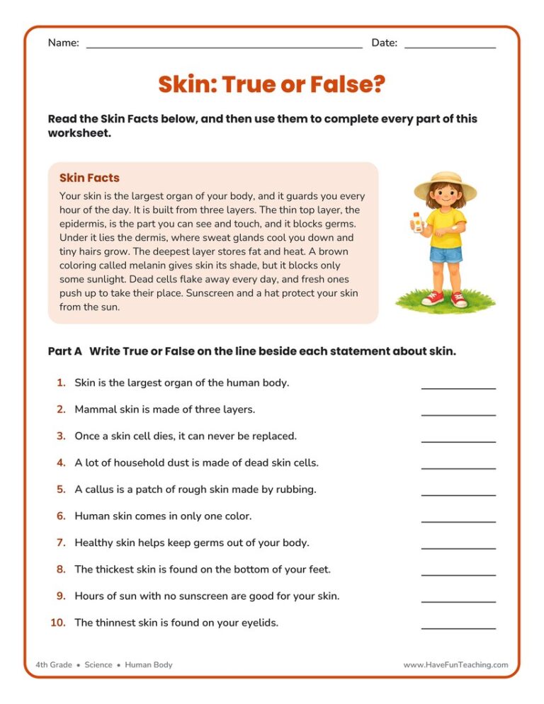 Skin True or False Worksheet