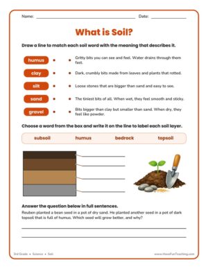 3rd Grade soil matching and soil layers worksheet