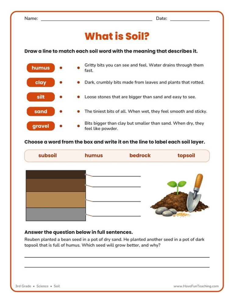 Soil Matching Worksheet