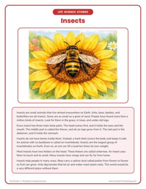 3rd Grade insects life science reading comprehension worksheet product image
