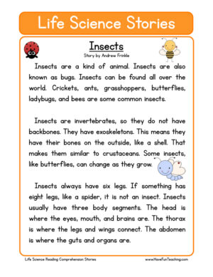 Insects Life Science Reading Comprehension Worksheet