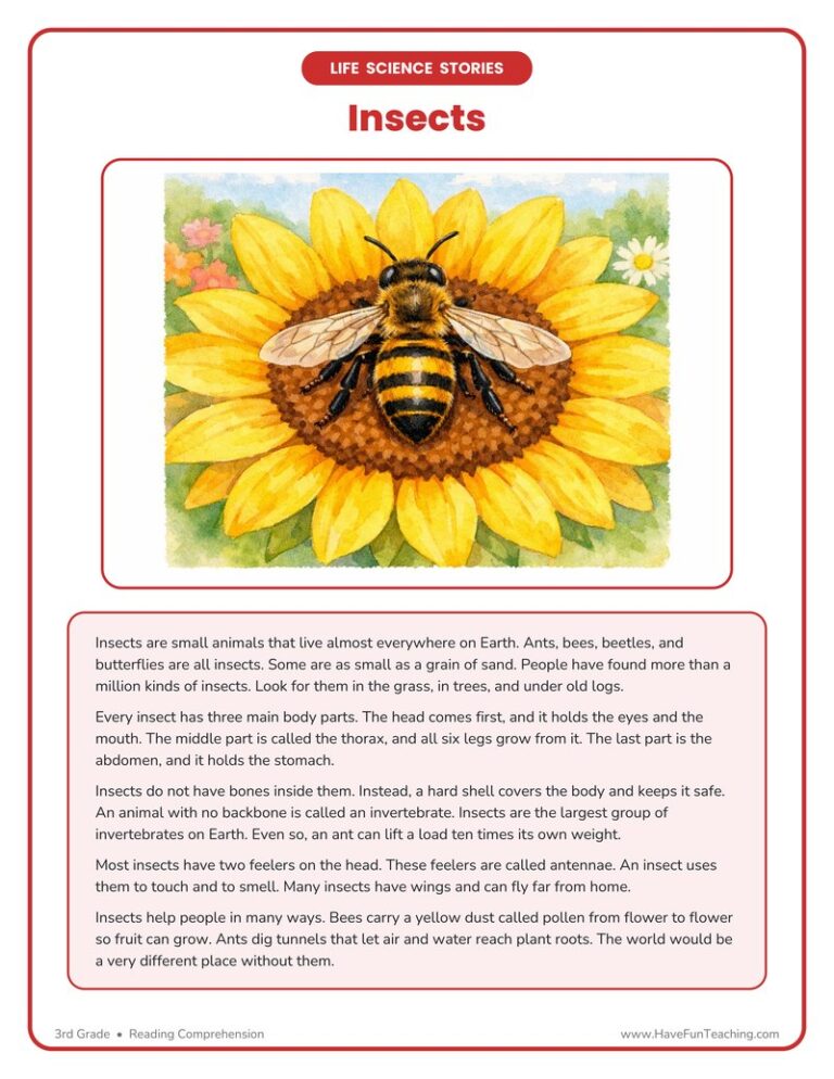 Insects Life Science Reading Comprehension Worksheet