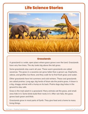 2nd Grade grasslands life science reading comprehension worksheet