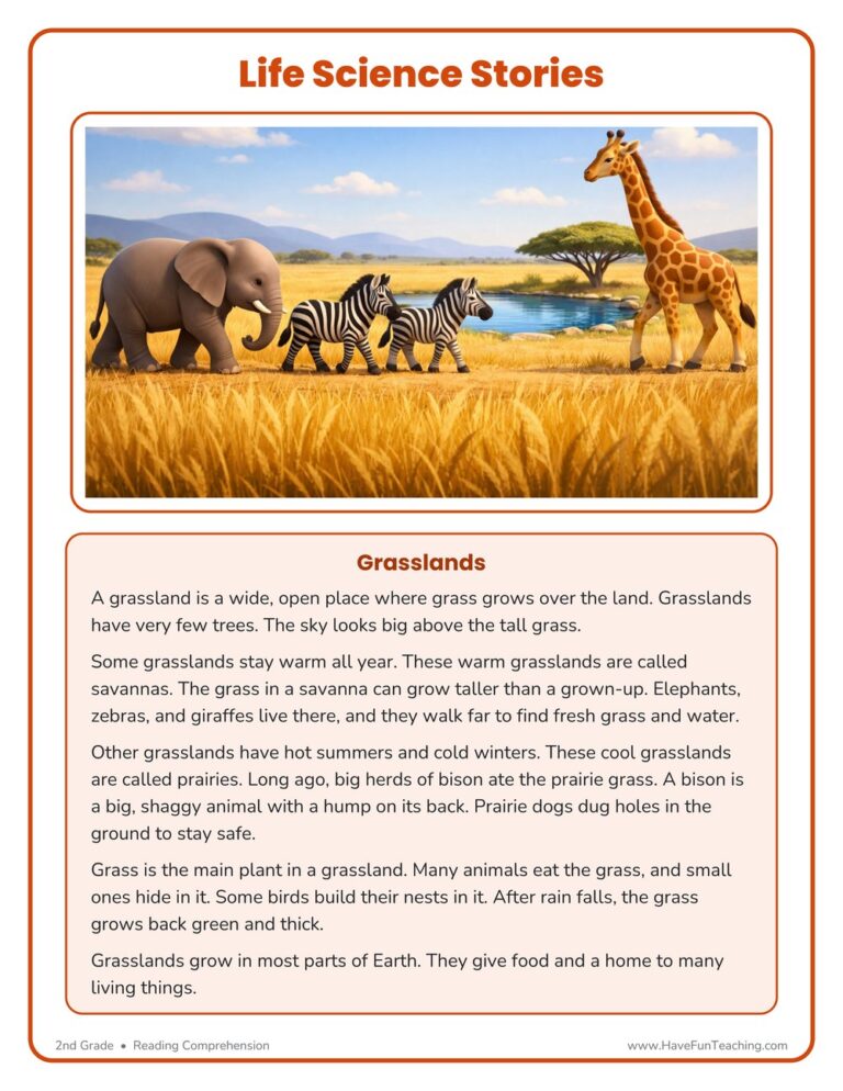 Grasslands Life Science Reading Comprehension Worksheet