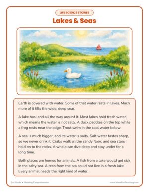 2nd Grade lakes and seas reading comprehension worksheet with a lake and sea scene