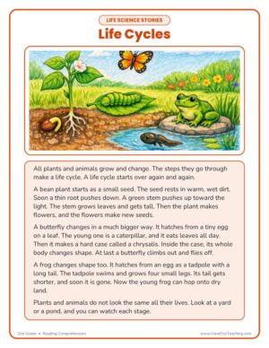 2nd Grade life cycles life science reading comprehension worksheet page 1