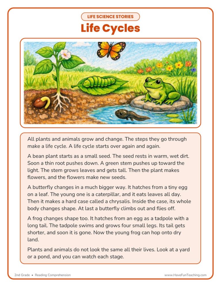 Life Cycles Life Science Reading Comprehension Worksheet
