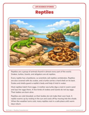 3rd Grade reptiles life science reading comprehension worksheet