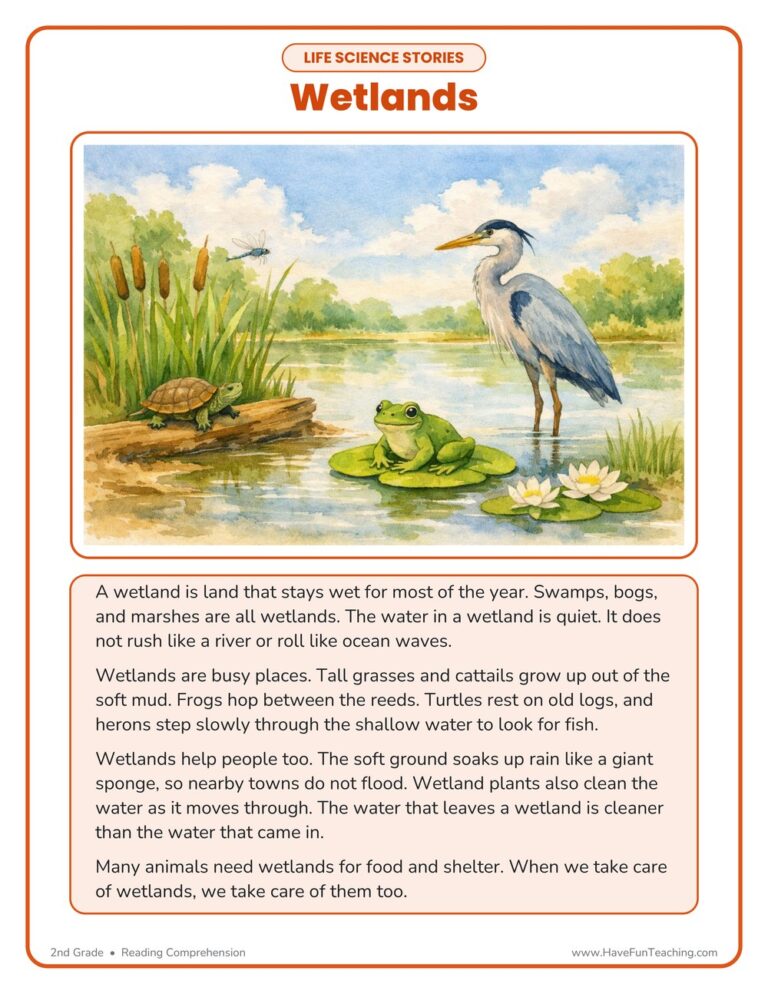 Wetlands Life Science Reading Comprehension Worksheet