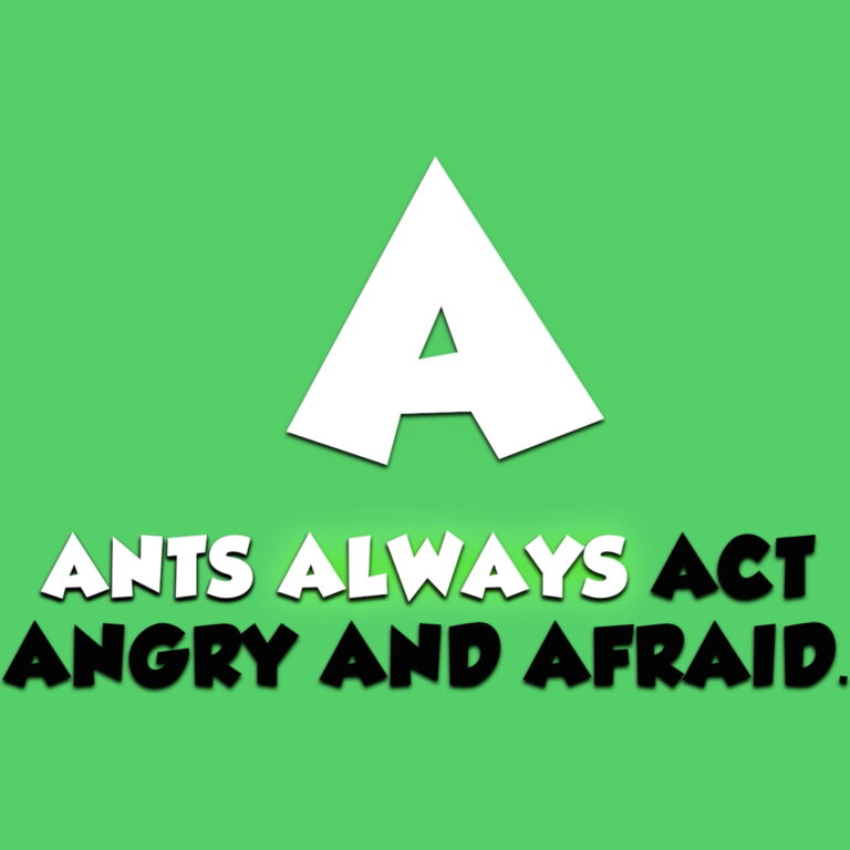Alphabet Animals Song (Animated Music Video)