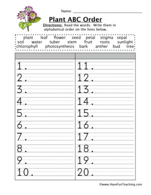 Plants Alphabetical Order Worksheet