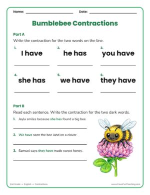 2nd grade contractions with have and has worksheet