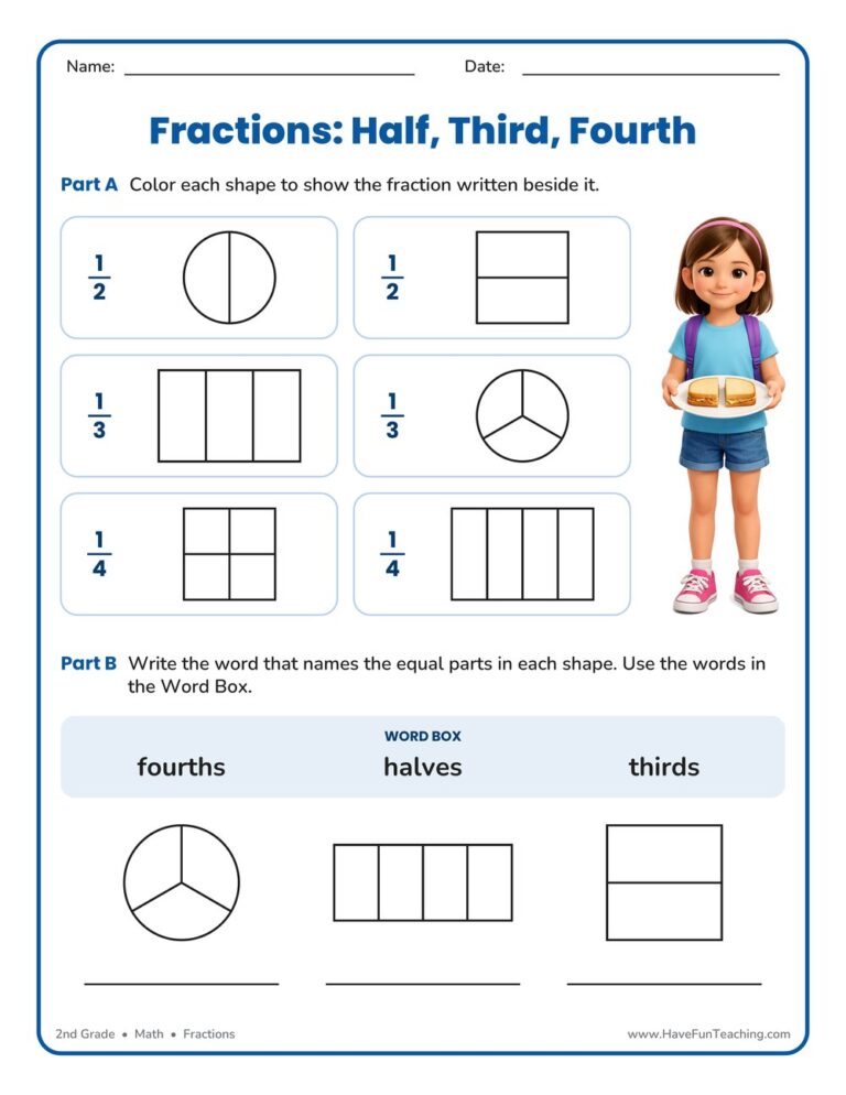 Halves, Thirds, Fourths Fractions Worksheet