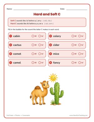 Hard and Soft C worksheet for second grade phonics with words sorted by the hard k and soft s sound