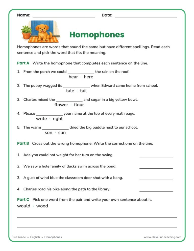 Homophones Fill in the Blank Worksheet