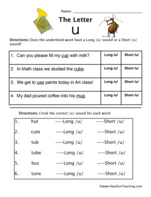 Short and Long Vowel U Worksheet