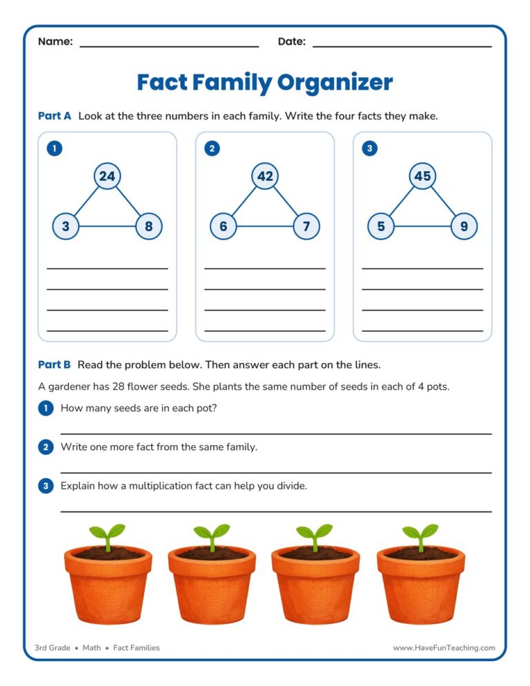 Math Graphic Organizer