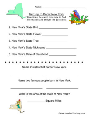 New York Worksheet