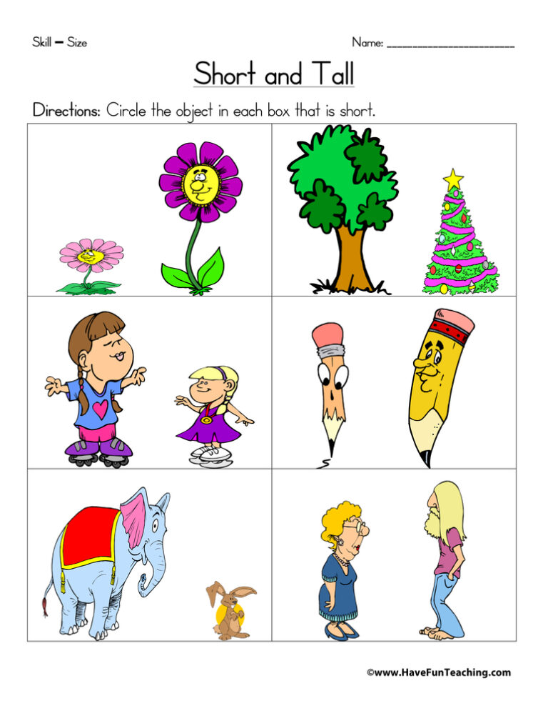 Short and Tall Worksheet