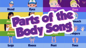 Parts of the Body Song (Animated Music Video)