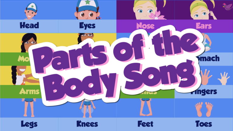 Parts of the Body Song (Animated Music Video)