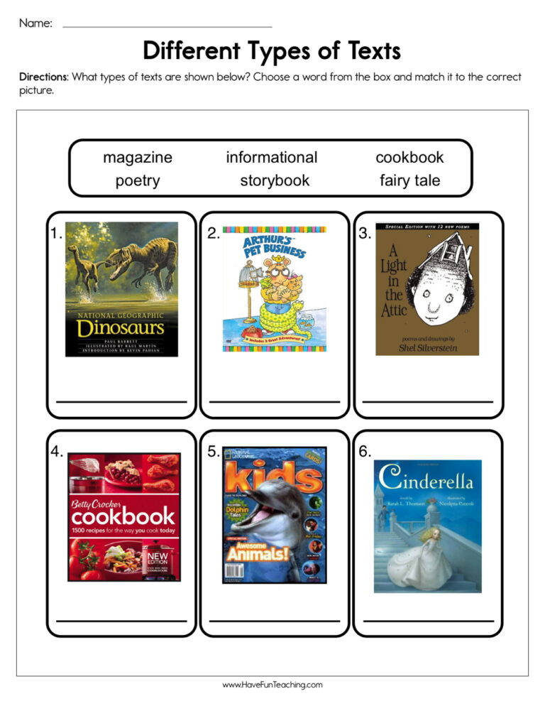 Different Types of Text Worksheet