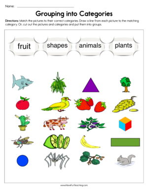 Grouping into Categories Worksheet