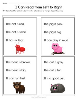 I Can Read From Left to Right Worksheet