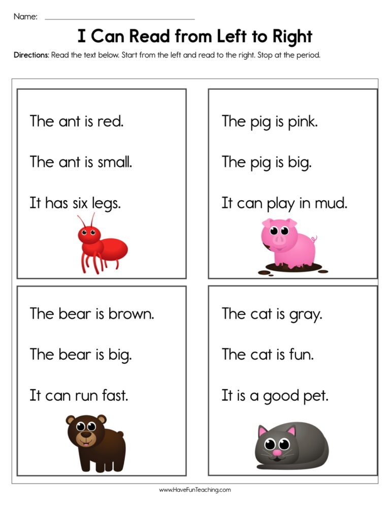 I Can Read From Left to Right Worksheet