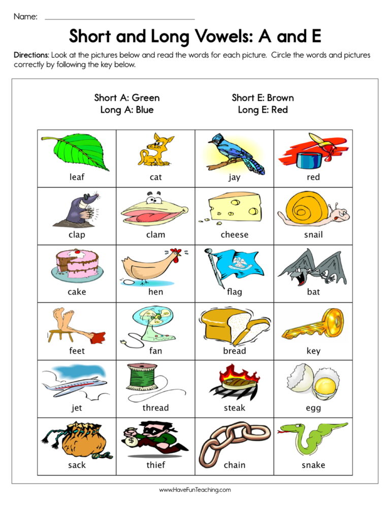 Short and Long Vowels A and E Worksheet