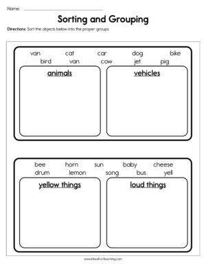 Sorting and Grouping Worksheet
