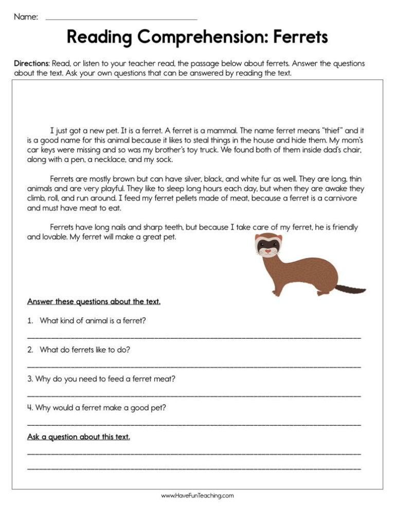 Ferrets Reading Comprehension Worksheet