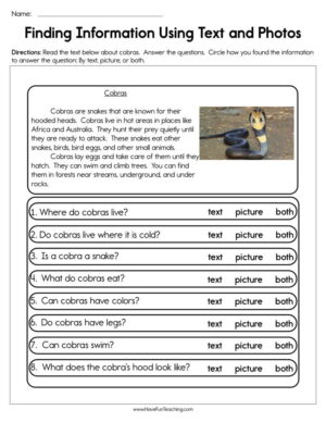 Finding Information Using Text and Photos Worksheet