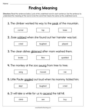 Find Meaning Worksheet