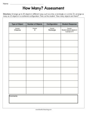 How Many Assessment Worksheet