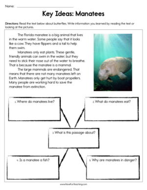 Key Ideas Manatees Worksheet