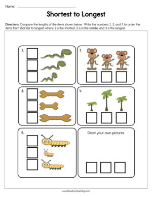 Shortest to Longest Worksheet